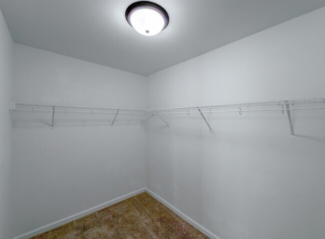 Building Photo - 2856 Blue Blossom Trail