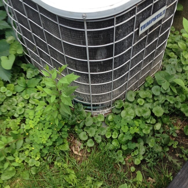 Building Photo - 5620 35th Ave S