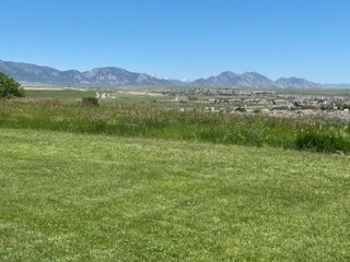 Building Photo - 8433 Zinnia Ct