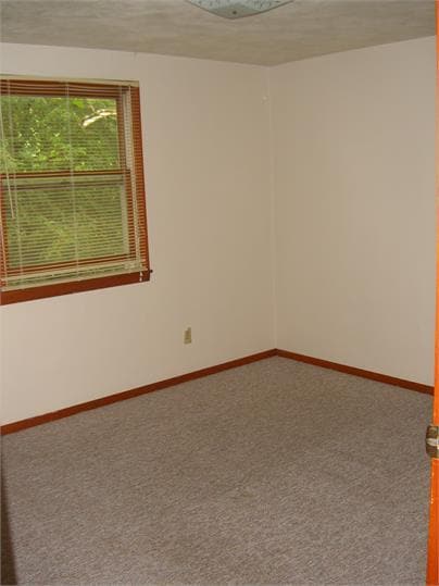 Building Photo - 403 Ellen Ave