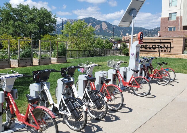 Rental Bikes - 3401 Arapahoe Ave