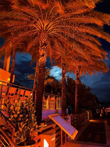 Building Photo - 400 N Riverside Dr