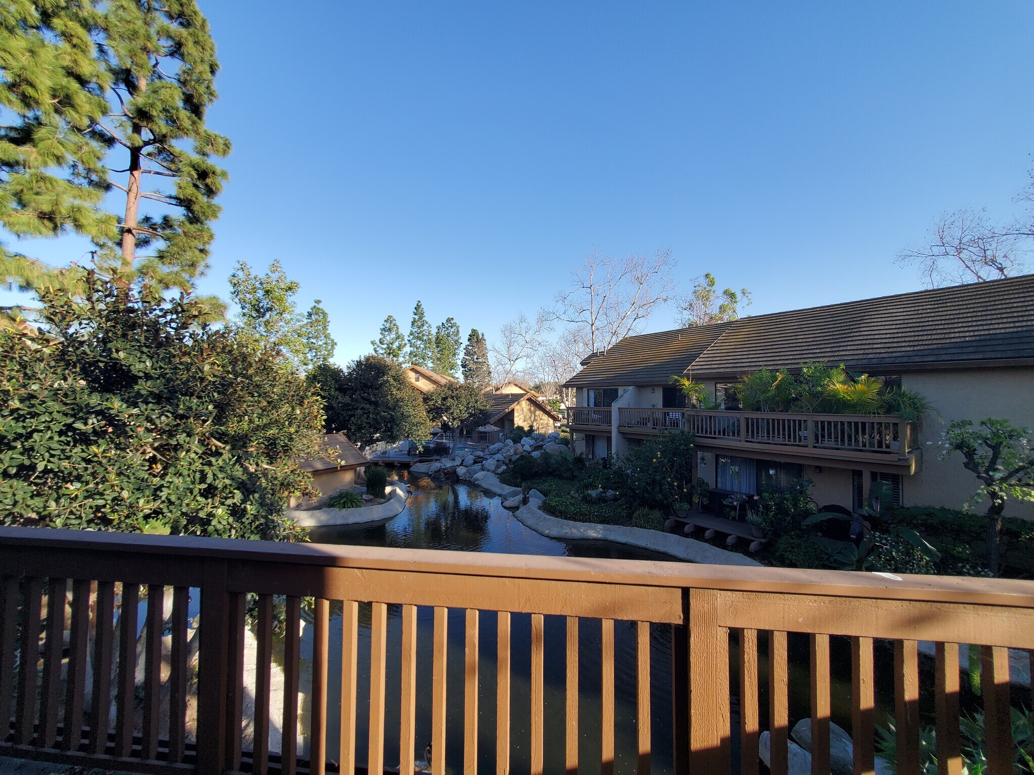 Living Room View - 203 Tangelo