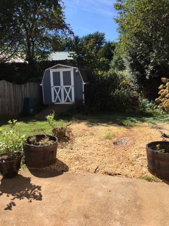 Outdoor fenced yard and garden shed - 433 Riverside Ave