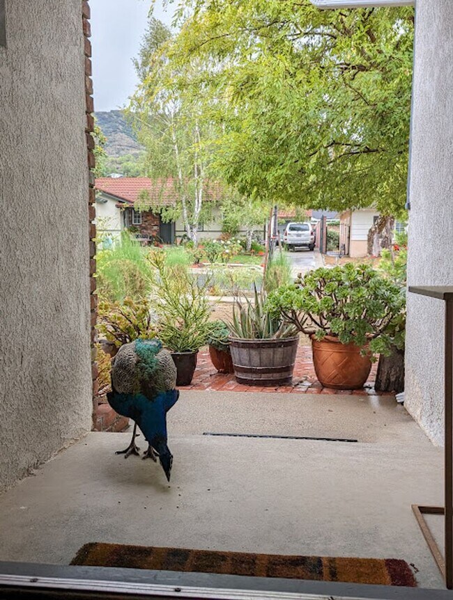 Building Photo - Spacious three bedroom one and half bath house in Sunland!