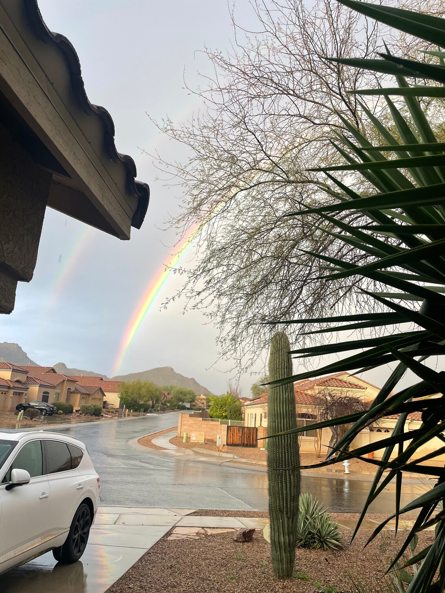 View from front door - 12905 N Mesozoic Dr
