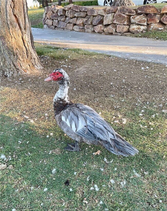 Building Photo - 3151 N Soaring Gulls Dr