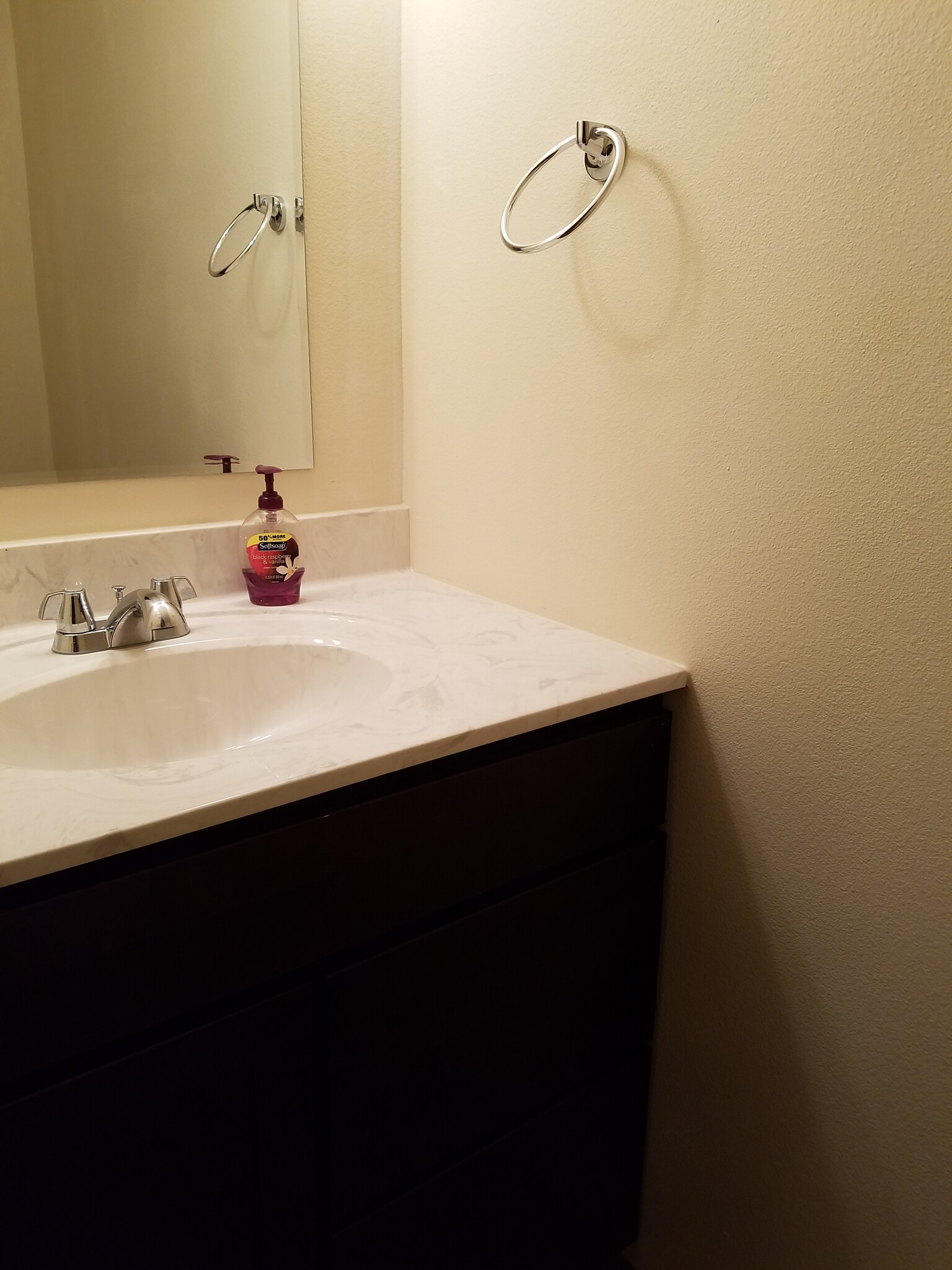 Powder room first floor - 1248 Dolen Pl