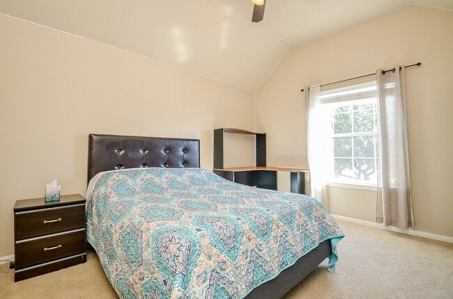 Building Photo - 3115 Sachse Ct