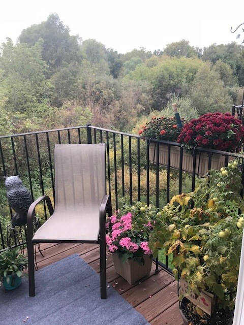 Building Photo - 2149 Knotty Pine Trail