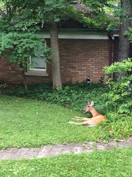 Frequent visitor - 1003 E Hunter Ave