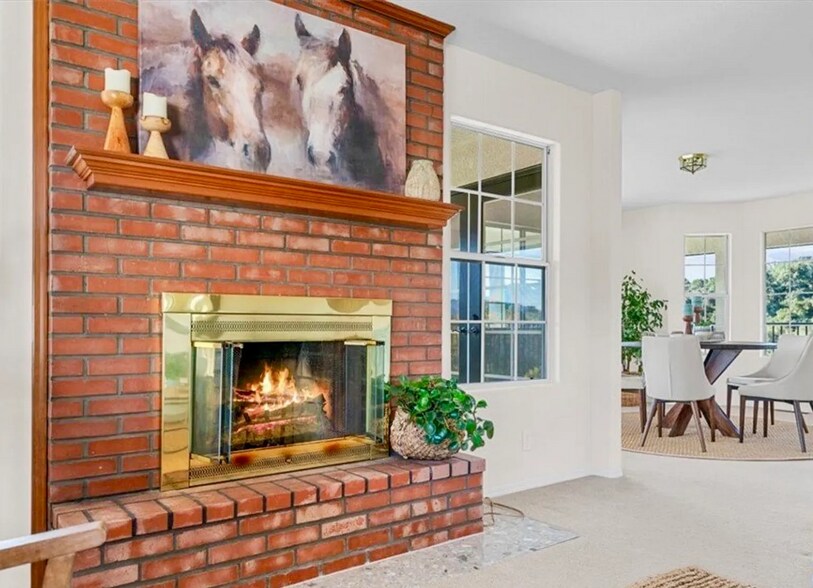 Brick Fireplace (note: tenants are unable to burn wood in fireplace). - 221 Appy Way