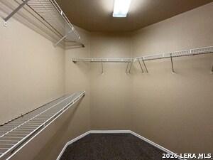 Building Photo - 11034 Pony Gate