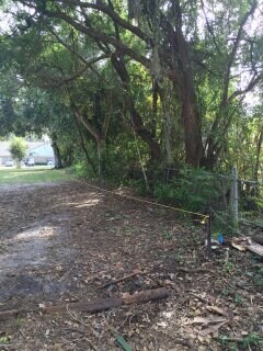 Building Photo - 509 E Magnolia St