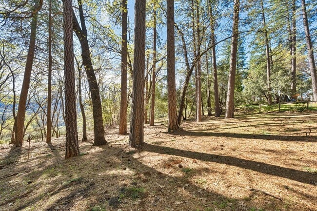 Building Photo - Craftsman Retreat in Camino – Updated 4BR Home on Quiet Lot!