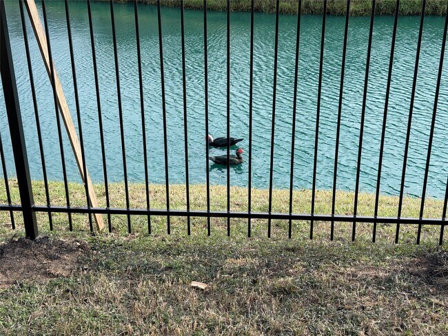 Building Photo - 4230 Geronimo Lake Dr