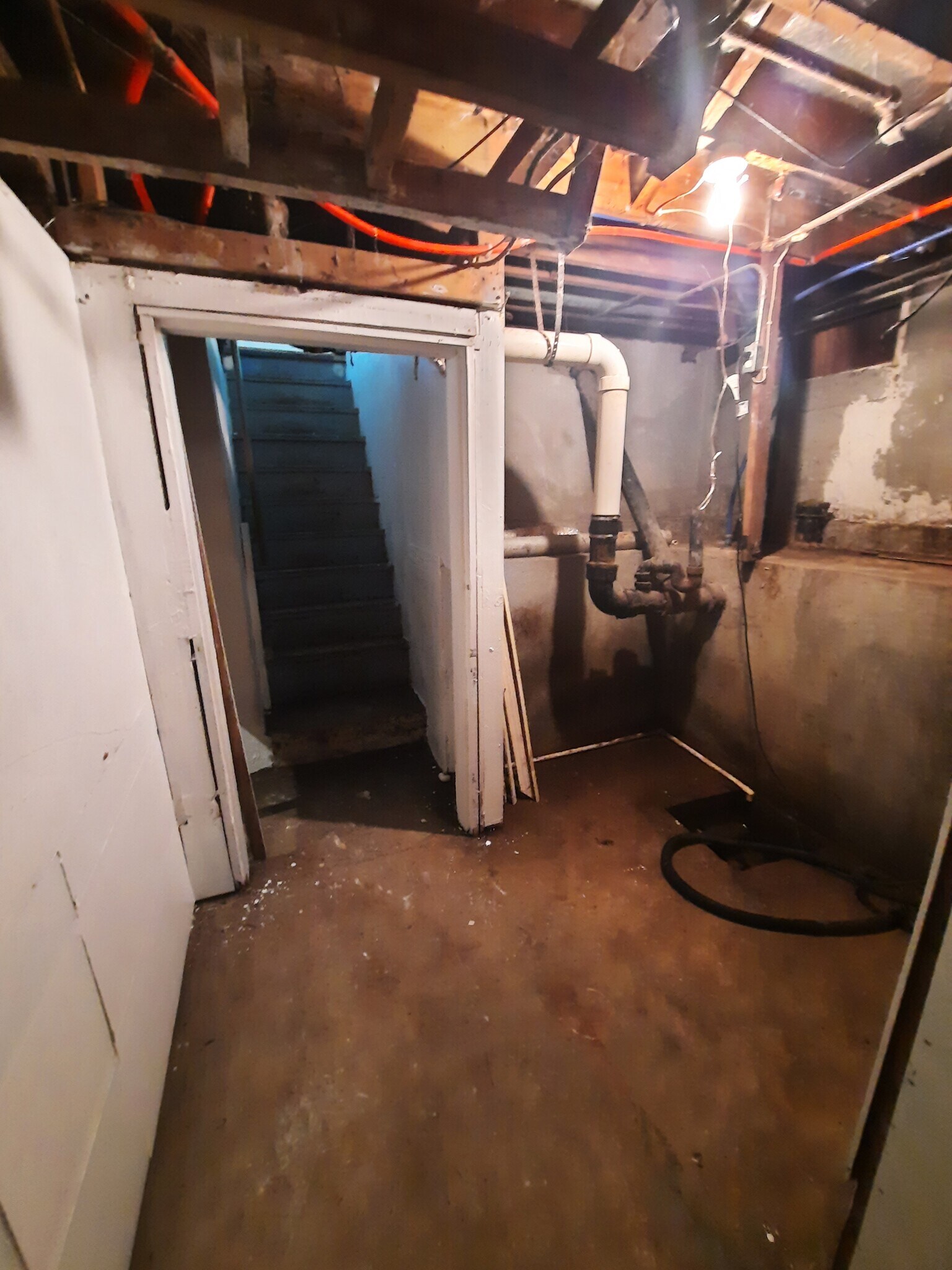 Basement sump room and steps - 56 Nichols Dr