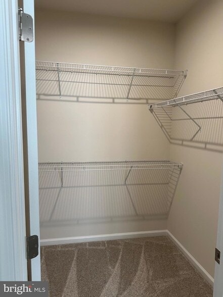 Building Photo - 4908 Dunhaven Dr