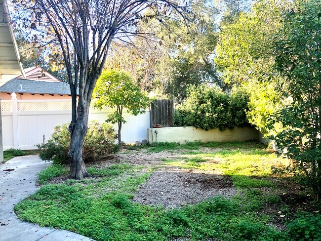 Side yard looking west - 110 Taormina Ln