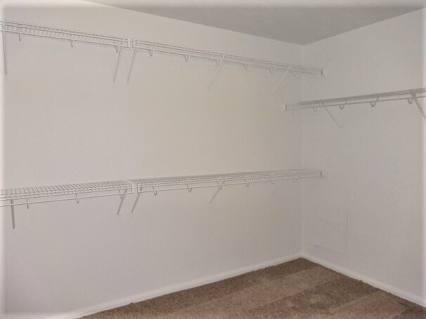 Building Photo - 21326 Carleen Creek Trl