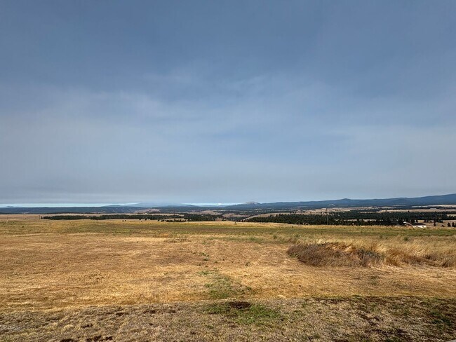 Building Photo - Beautiful Country Home on 20 Acres with Stunning Mountain Views