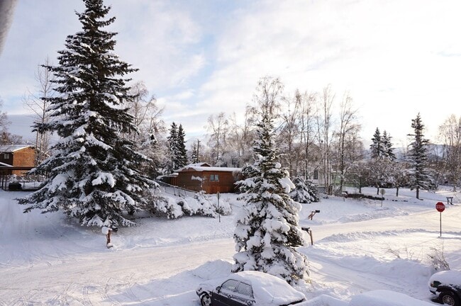 Building Photo - 1020 Friendly Ln