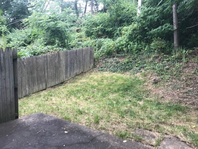 Partially fenced backyard - 1443 Maple Dr