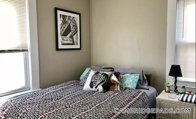 Building Photo - 359 Windsor St