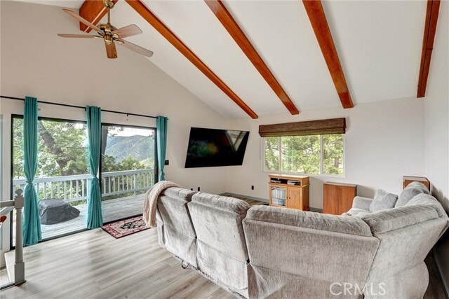 Building Photo - 30396 Live Oak Dr