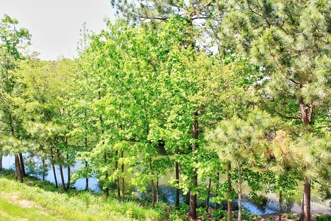 Building Photo - Great 2 Bedroom, 3 Floor Town Home with 1st Floor Bonus Room- Morrisville - Available July 15th!