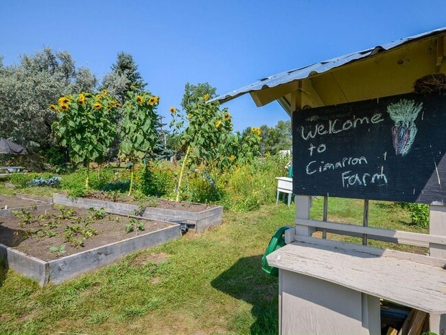 Building Photo - 528 Cimarron