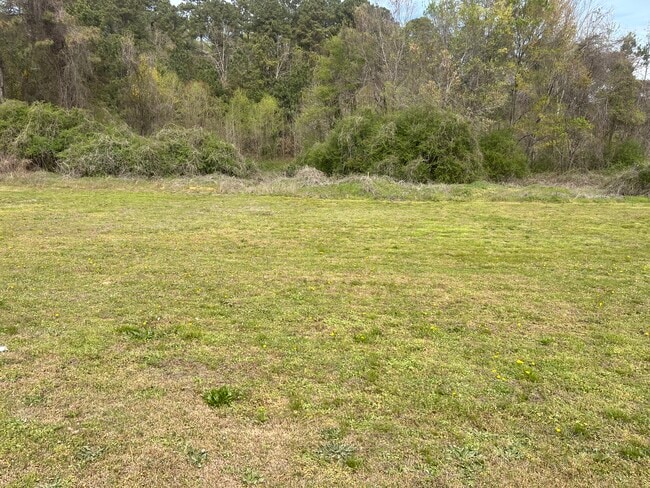 Building Photo - LMP-3