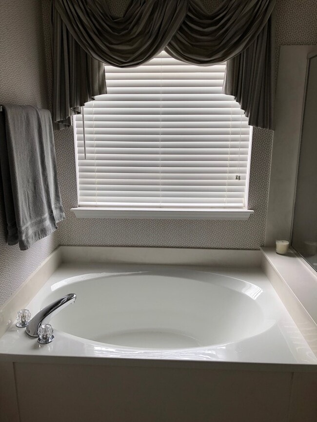 Building Photo - McKay's Mill McMansion