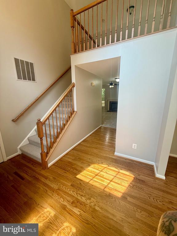 Building Photo - 3915 Carlyle Ct