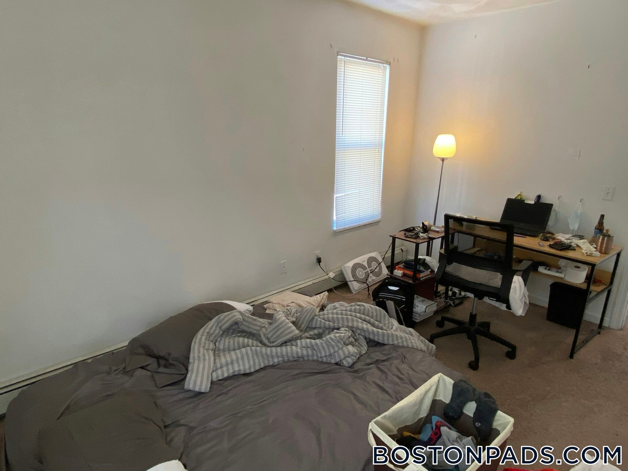 Building Photo - 58 Mansfield St