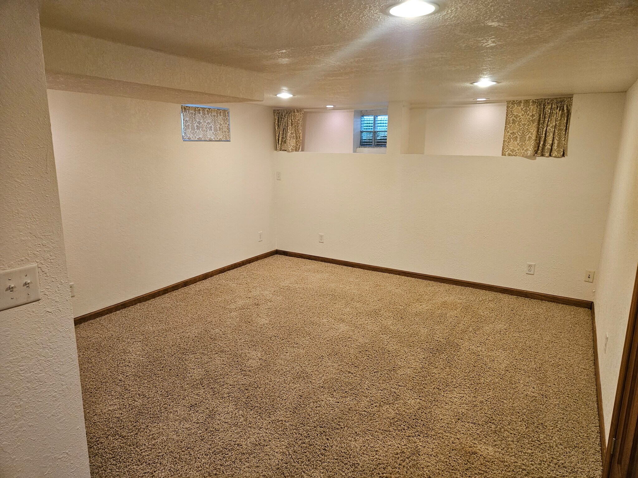 Lower Level Family Room - 803 10th Ave N