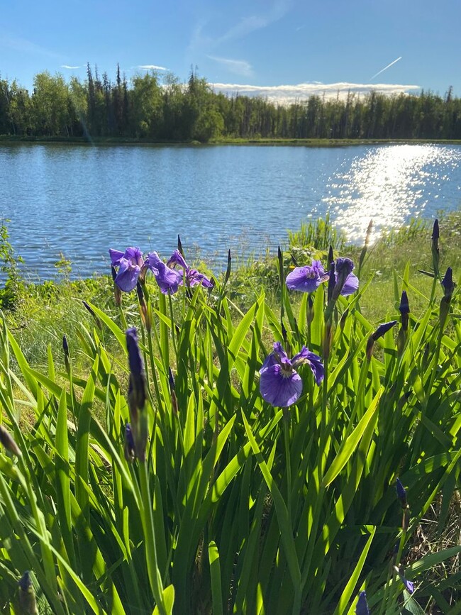 Building Photo - Peaceful Lake life living in this cute uni...