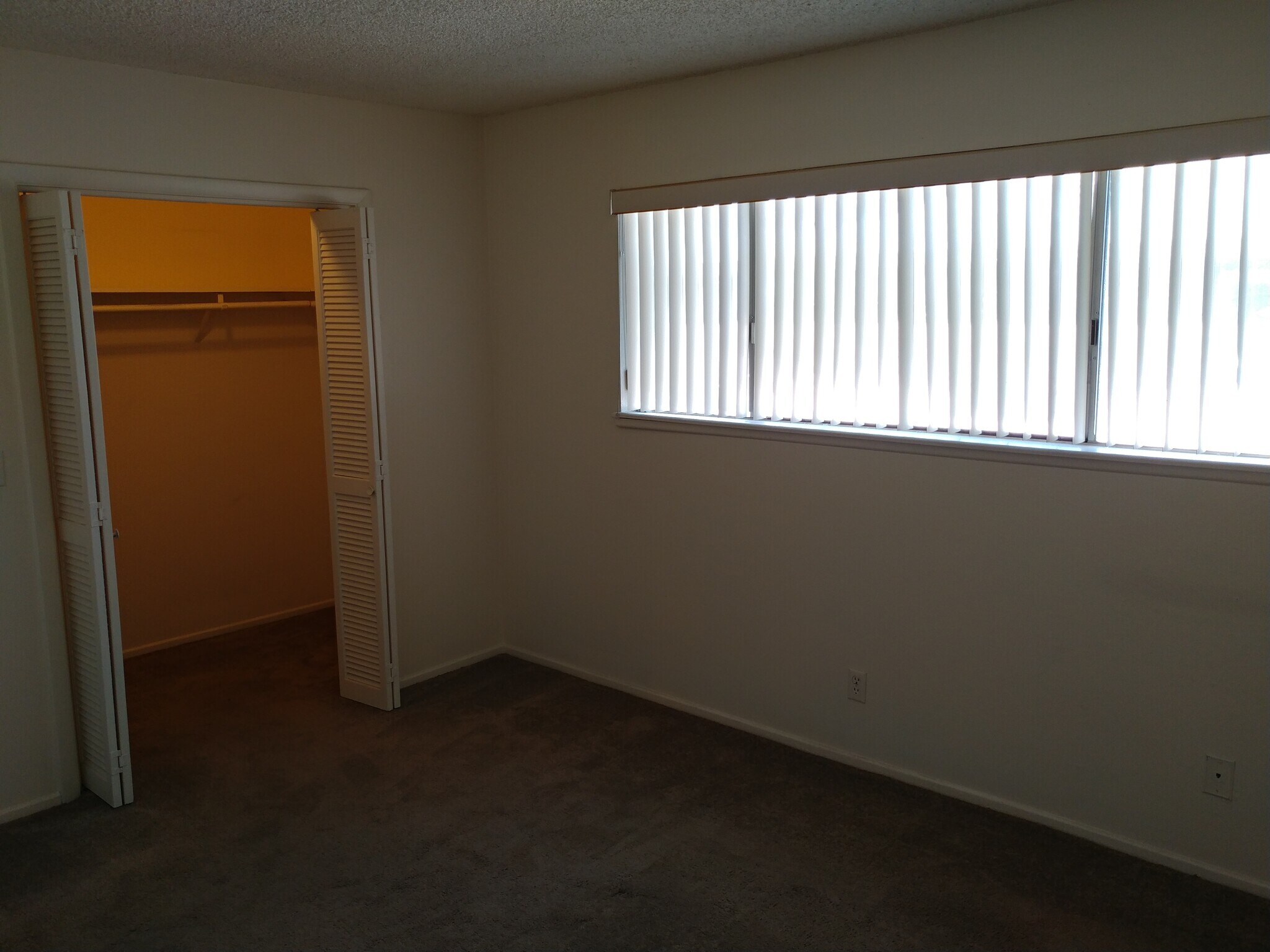 Vertical blinds throughout - 1379 Dorothy Ave