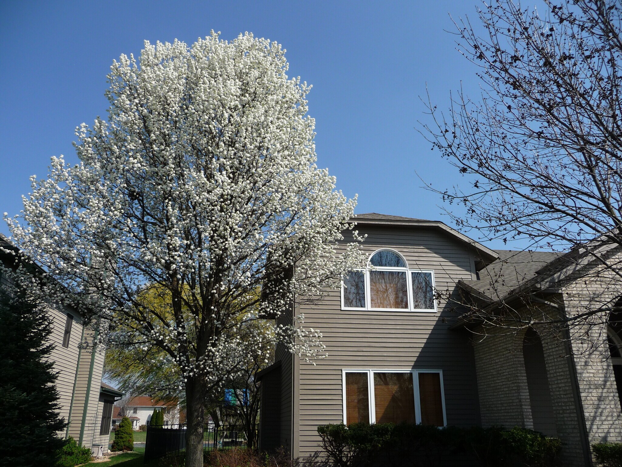 Building Photo - 2704 Cherry Hills Dr