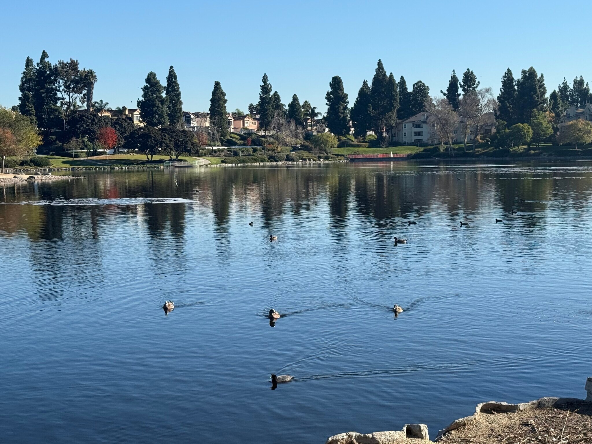 Building Photo - 2109 Northshore Dr