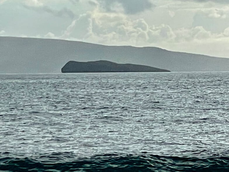 Building Photo - 679 S Kihei Rd