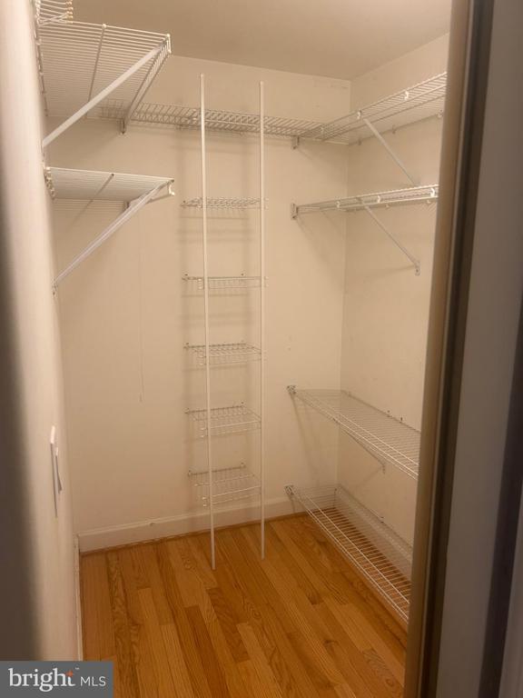 Building Photo - 3904 Green Look Ct