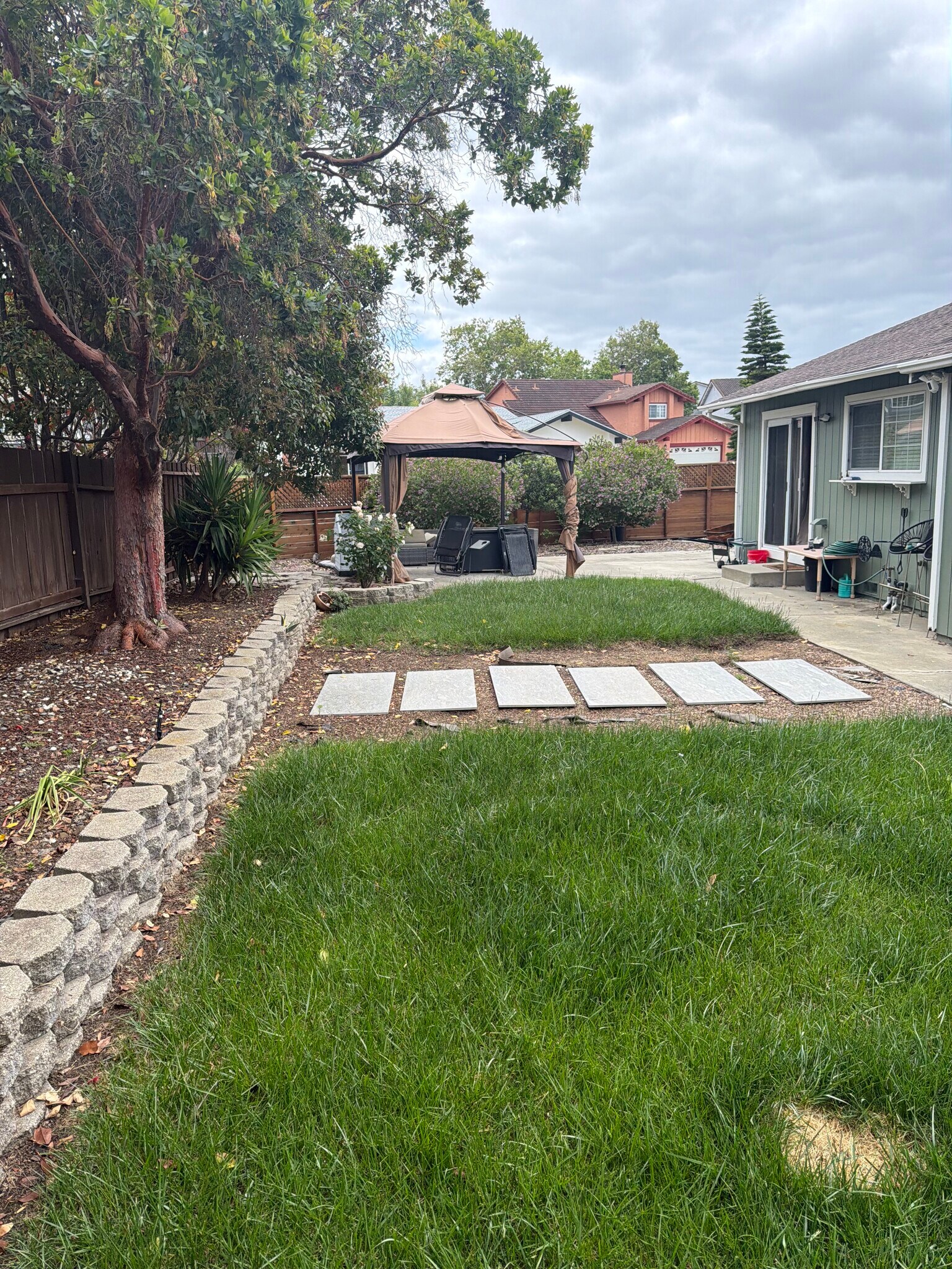 backyard - 220 Notre Dame Dr