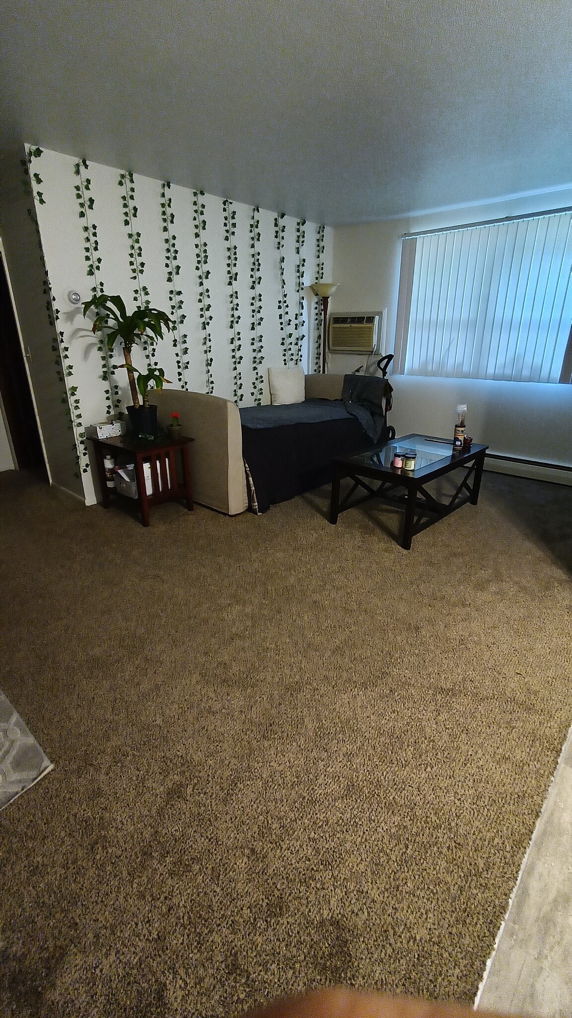 Living Room - 605 Ravoux Rd