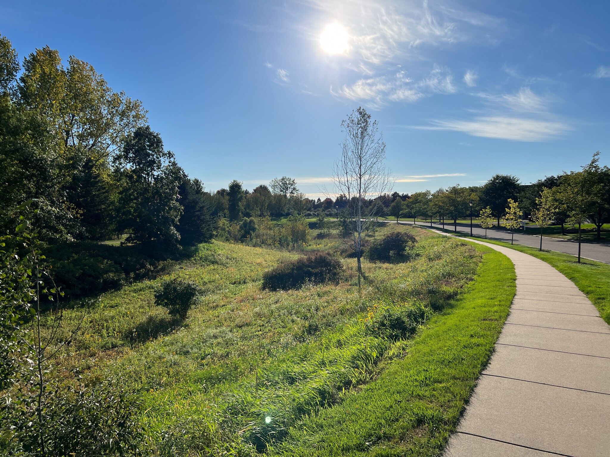 Walking path - 3443 Cherry Ln