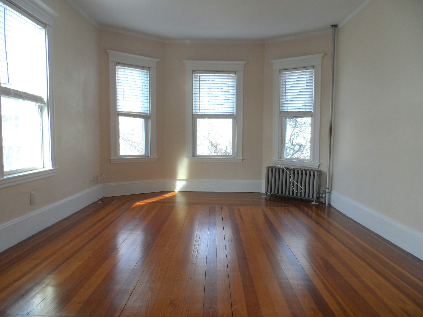 Building Photo - 9 Willard Ave