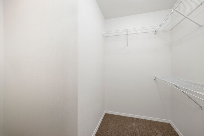 Building Photo - Brand New 3 Bedroom Home in Aurora