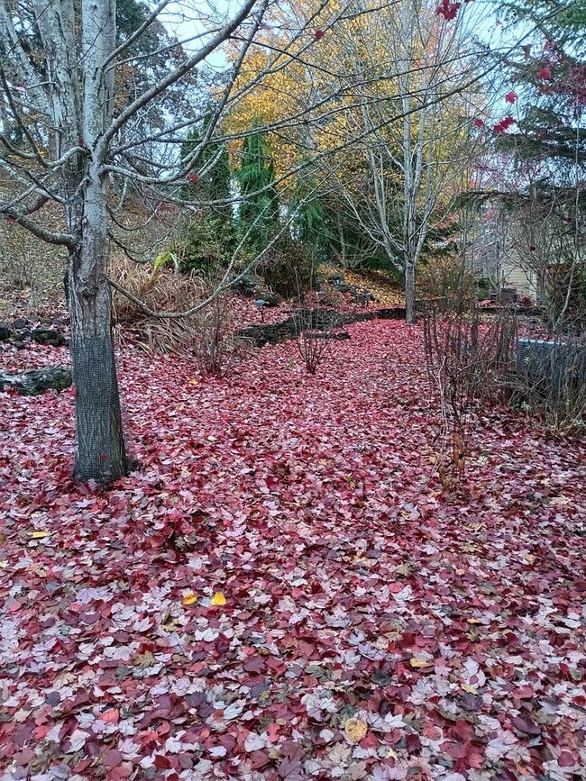 Building Photo - Beautiful Townhouse in West Salem is Ready For You!