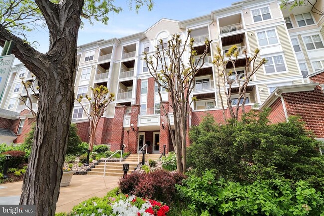 Building Photo - 1641 International Dr