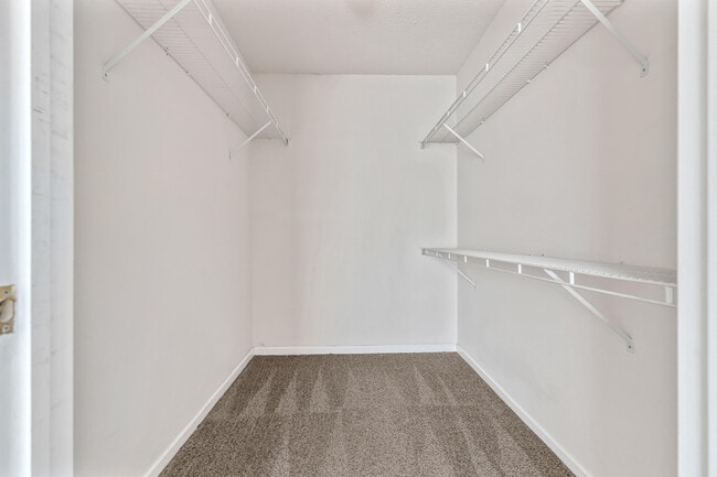 Building Photo - 4090 Dancing Cloud Ct
